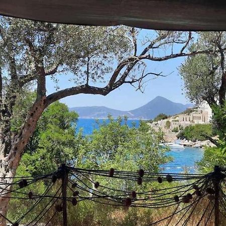 Apartmani Roganovic Luštica Exteriör bild